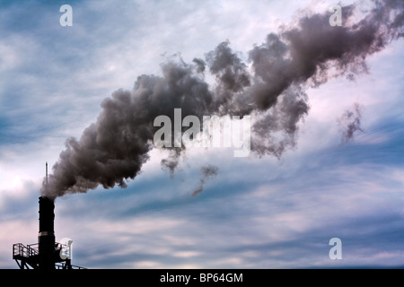 Fumée secondaire de la tige de l'écologie problèmes Banque D'Images