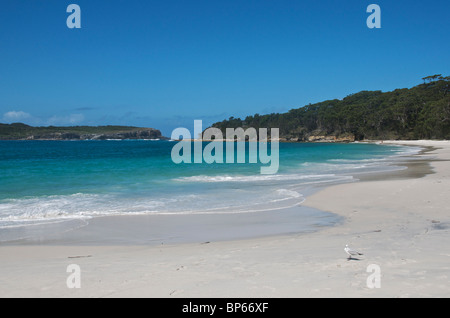 Murray's Beach Parc National Booderee Jervis Bay NSW Australie Banque D'Images