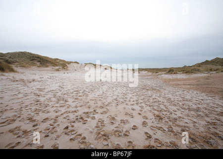 L'Aberdeenshire et les dunes de sable de la côte de Moray, en Écosse. Photo:Jeff Gilbert Banque D'Images