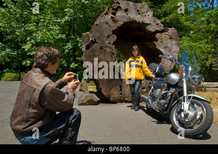 Couple de touristes motocycliste prenant instantanés au roadside attraction, Avenue des Géants, Humboldt County, Californie Banque D'Images