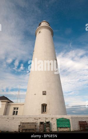 St Mary's Lighthouse Banque D'Images