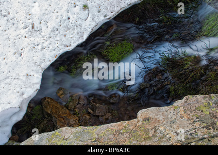 Stream sous la neige. Glaciares Lagunas de Neila Parc Naturel. Province de Burgos. Castilla y Leon. L'Espagne. Banque D'Images