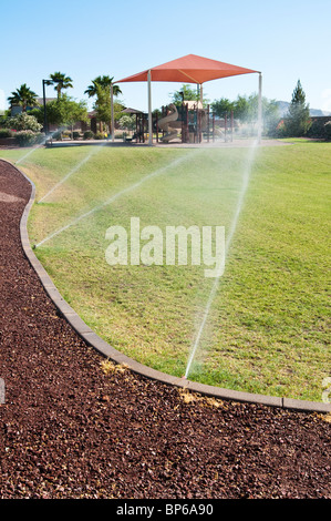 Un arrosage automatique est utilisé pour l'eau l'herbe dans un parc de la ville de l'Arizona. Banque D'Images