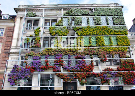 Europe in Bloom Living facade, Kongens Nytorv, Copenhague (Kobenhavn), Royaume du Danemark Banque D'Images