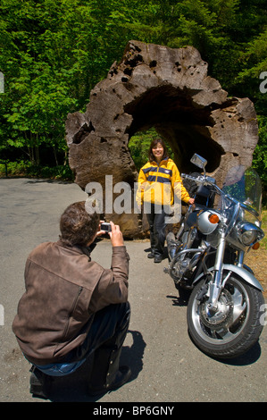 Couple de touristes motocycliste prenant instantanés au roadside attraction, Avenue des Géants, Humboldt County, Californie Banque D'Images