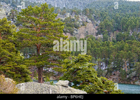 Laguna Negra. Picos de Urbion. La province de Soria. Castilla y Leon. L'Espagne. Banque D'Images