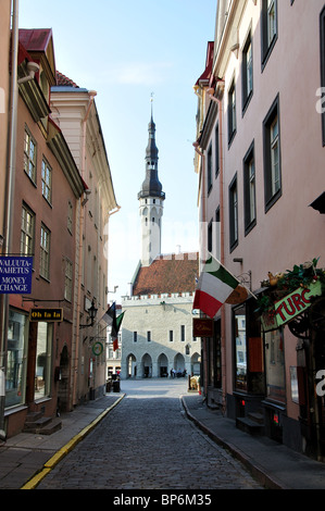 Hôtel de ville de Tallinn et Raekoja Plats, Vieille Ville, Tallinn, Tartu, Estonie Banque D'Images