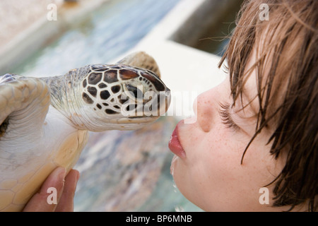 Détail d'un boy kissing une tortue Banque D'Images