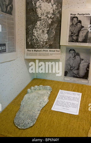 Bigfoot artefacts et jette l'empreinte sur l'affichage à l'Willow Creek - Chine Télévision Museum, Willow Creek, Californie Banque D'Images