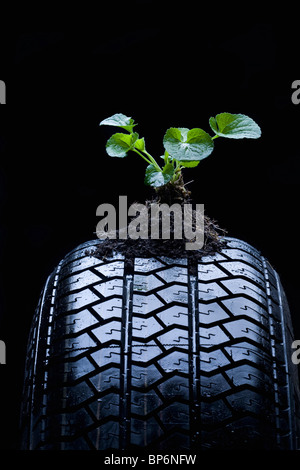 Détail d'une plante d'un pneu de voiture Banque D'Images