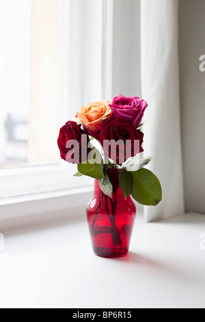 Roses dans un vase sur un rebord de fenêtre Banque D'Images