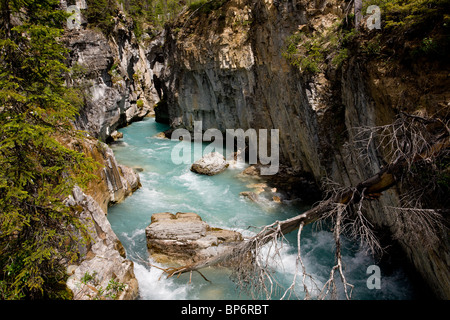 En Canyon, l'eau de fonte glaciaire channel, dans le Parc National de Kootenay, Rocheuses, Canada Banque D'Images