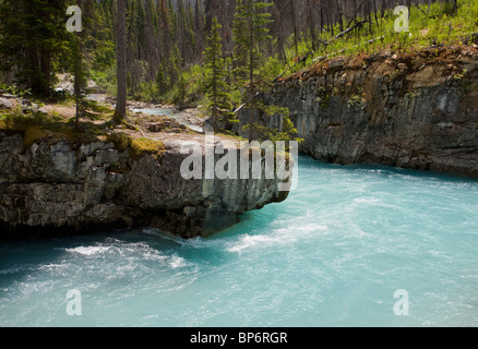 En Canyon, l'eau de fonte glaciaire channel, dans le Parc National de Kootenay, Rocheuses, Canada Banque D'Images