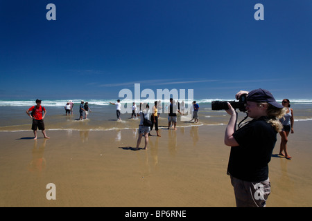 Voir de 90 Mile Beach, en Nouvelle-Zélande Banque D'Images