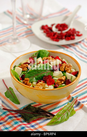 Les canneberges salade. Recette disponible. Banque D'Images