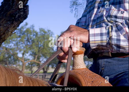 Cheval et cavalier cowboy, Détail des mains en selle corne, homme portant chemise à carreaux Banque D'Images