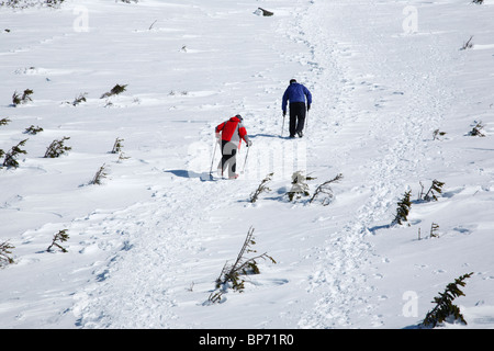 Les randonneurs d'hiver en direction nord sur le sentier des Appalaches gravir le mont Madison pendant les mois d'hiver dans les Montagnes Blanches, NH Banque D'Images