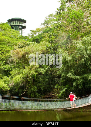 Deux personnes sur le pont de corde la découverte de la forêt tropicale Sandakan Sabah Malaisie Bornéo Banque D'Images