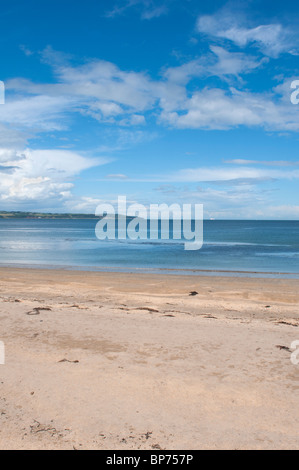 La plage de Belfast, comté de Down, Irlande du Nord. Banque D'Images