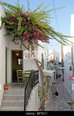 Castro trimestre, Parikia, île de Paros, Cyclades, Mer Égée, Grèce Banque D'Images