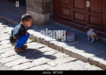 Petit garçon et chiots, ancienne townLijiang, Province du Yunnan, Chine Banque D'Images