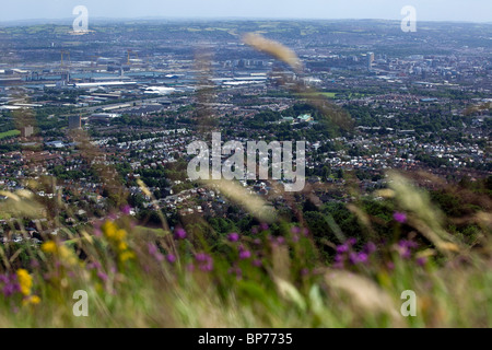 Vue sur Belfast de Cave Hill. Banque D'Images