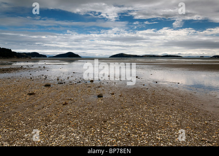 Vue de Shelly Beach sur néos-zélandais Coromandel Banque D'Images