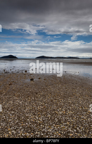 Vue de Shelly Beach sur néos-zélandais Coromandel Banque D'Images