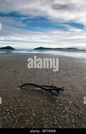 Vue de Shelly Beach sur néos-zélandais Coromandel Banque D'Images