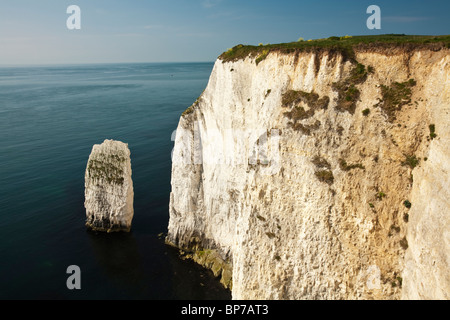 Les falaises de craie et des piles de roches sur la côte du Dorset près de Old Harry Rocks près de Poole, UK Banque D'Images