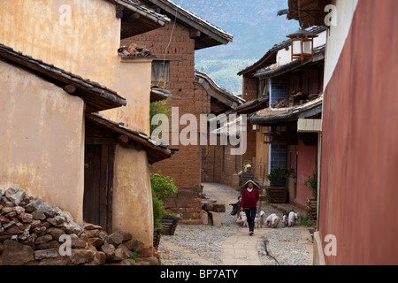 Femme en tenant ses porcs à jour de marché à Shaxi, Village de la province de Yunnan, Chine Banque D'Images