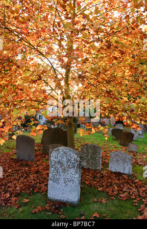 L'automne les feuilles d'or dans le cimetière de Saint Pierre et de saint Paul dans l'Église ,Wantage Oxfordshire, Angleterre, Royaume-Uni Banque D'Images