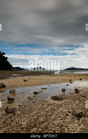 Vue de Shelly Beach sur néos-zélandais Coromandel Banque D'Images