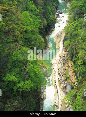 Oyasukyo Gorge, préfecture d'Akita, au Japon. Banque D'Images