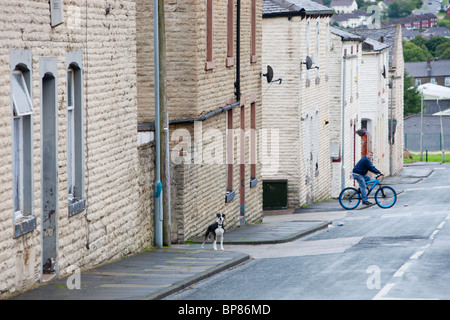 Barricadés de maisons abandonnées à Burnley, Lancashire, Royaume-Uni. Banque D'Images