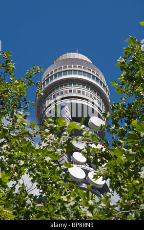 BT London Telecom Tower, London W1, Royaume-Uni Banque D'Images