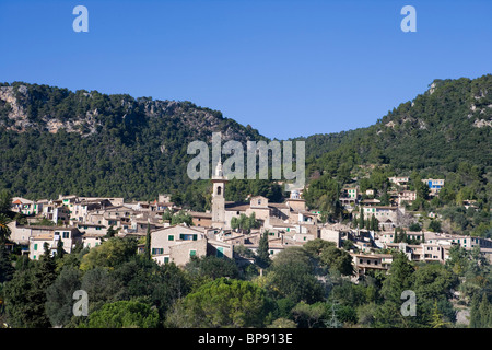 Avis de Valldemossa, Majorque, Iles Baléares, Espagne, Europe Banque D'Images