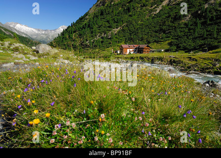 Paysage de montagne avec ruisseau et près de Alpenrose inn hut Berliner Huette, Zillertal, Alpes de Zillertal, Tyrol, Autriche Banque D'Images