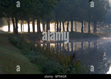 Greffe, d'arbres, brouillard, grand jardin Herrenhausen à Hanovre, Hanovre, Basse-Saxe, Allemagne du nord Banque D'Images