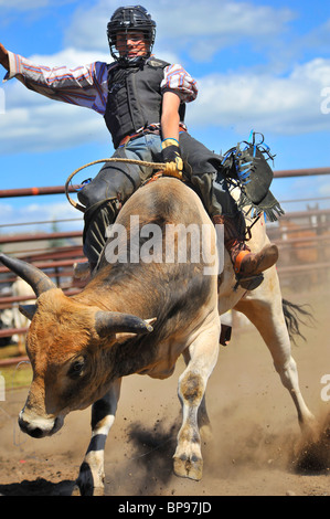 Chevauchant un taureau Banque D'Images