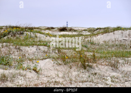 Mostardas phare, dunes de sable et la végétation indigène, Lagoa do Peixe National Park, Rio Grande do Sul, Brésil Banque D'Images