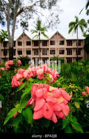 Hébergement de style resort et de belles fleurs à l'hôtel Sheraton Mirage Resort, Port Douglas, loin au nord du Queensland en Australie Banque D'Images