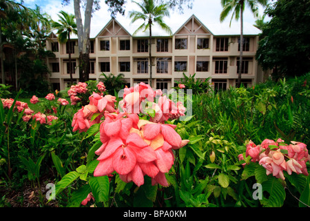 Hébergement de style resort et de belles fleurs à l'hôtel Sheraton Mirage Resort, Port Douglas, loin au nord du Queensland en Australie Banque D'Images