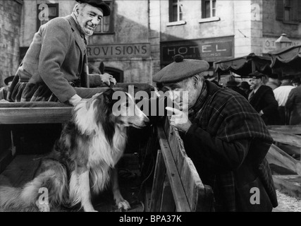 LUMSDEN HARE, DONALD CRISP, DÉFI DE LASSIE, 1949 Banque D'Images