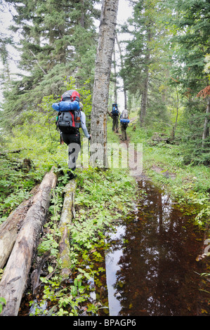 Randonnée dans le parc national de Prince Albert. Sur le sentier de Grey Owl. Banque D'Images