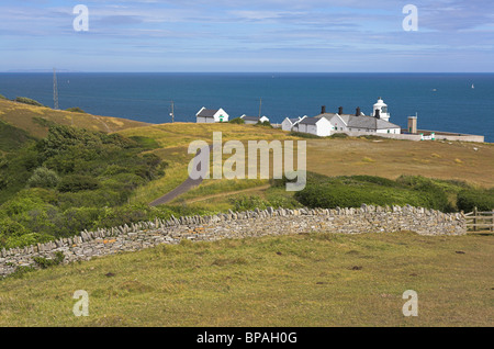 Vue paysage de phare sur la prairie de craie avec mur de pierres sèches et d'arbustes au parc Durlston Country, Dorset en juillet. Banque D'Images