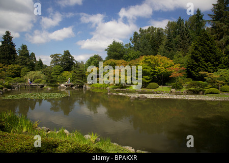 Jardin japonais de Seattle l'étang de koi. Banque D'Images