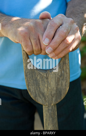 homme senior tenant une ancienne fourche de jardinage en bois Banque D'Images