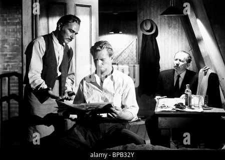 STERLING HAYDEN L'Asphalt Jungle (1950) Banque D'Images