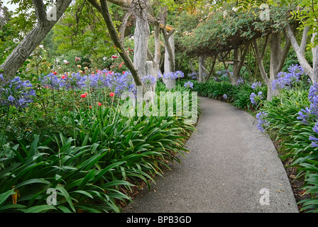 Belle promenade dans un jardin luxuriant. Banque D'Images